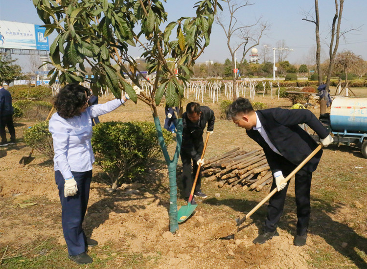 植樹節(jié)官網(wǎng)內(nèi)頁2.jpg